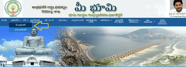 MeeBhoomi AP | Check Land Records in Andhra Pradesh