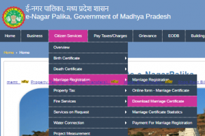 NAVSARI NAGAR PALIKA BIRTH CERTIFICATE DOWNLOAD visual data 2